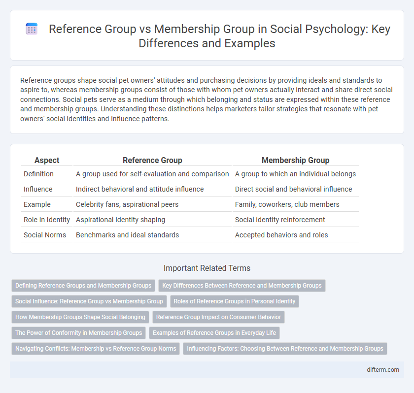 Reference Group vs Membership Group in Social Psychology: Key Differences and Examples