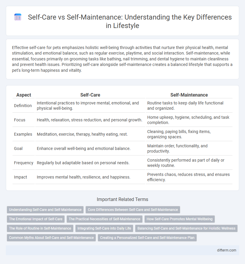 Self-Care vs Self-Maintenance: Understanding the Key Differences in Lifestyle