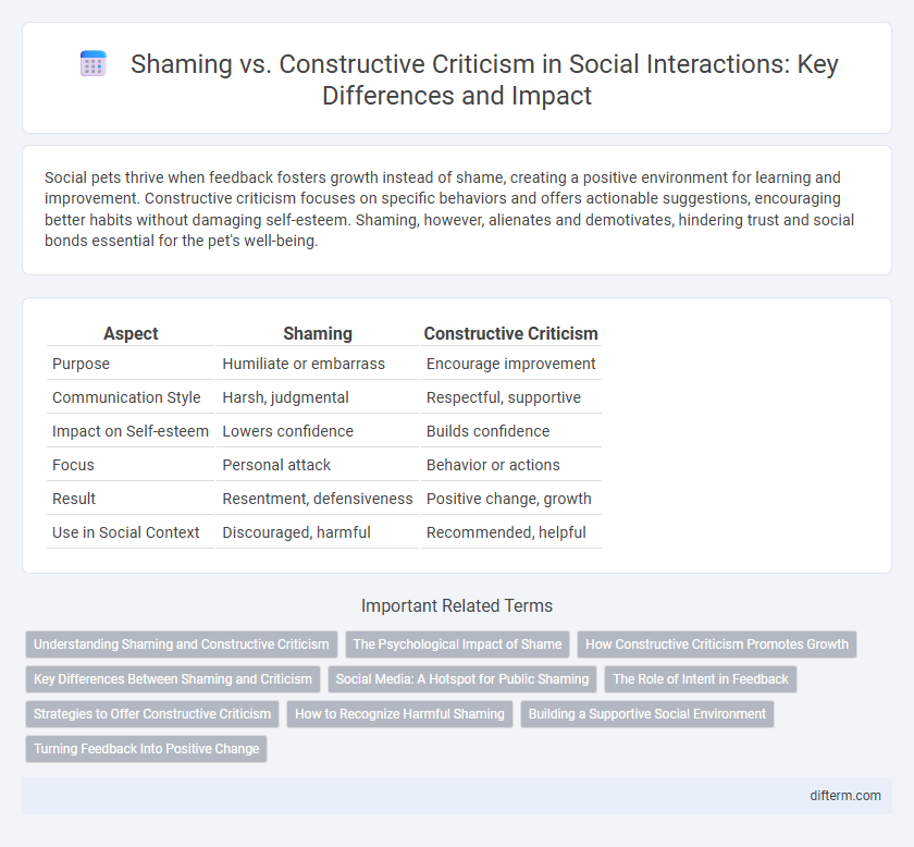Shaming vs. Constructive Criticism in Social Interactions: Key Differences and Impact