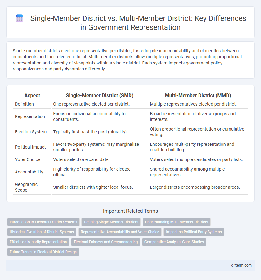 Single-Member District vs. Multi-Member District: Key Differences in Government Representation
