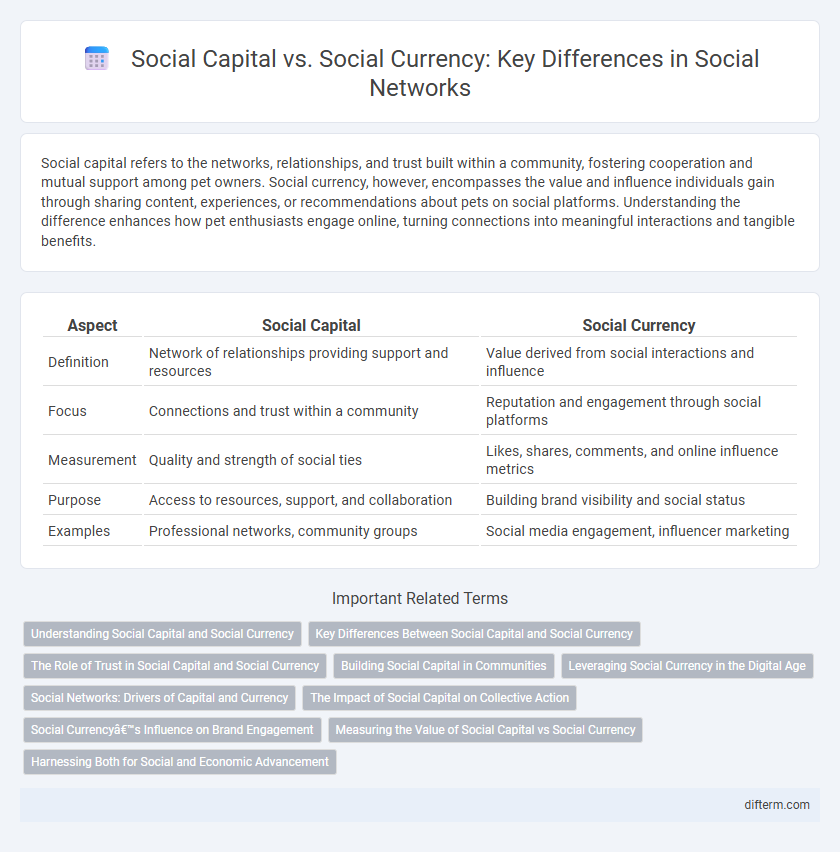 Social Capital vs. Social Currency: Key Differences in Social Networks