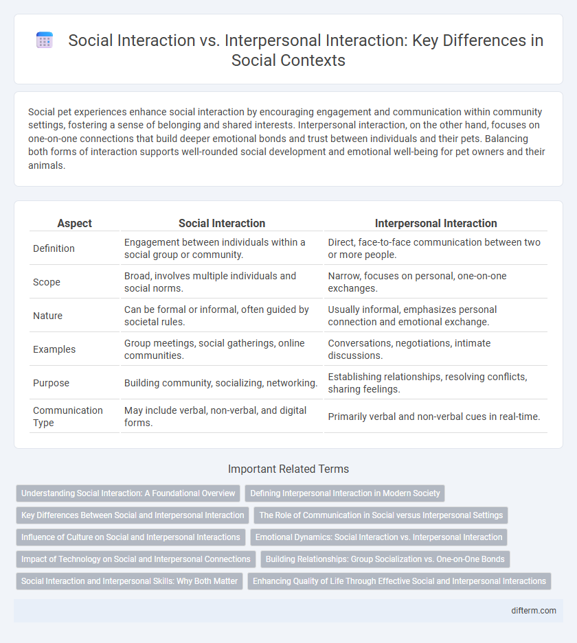 Social Interaction vs. Interpersonal Interaction: Key Differences in Social Contexts