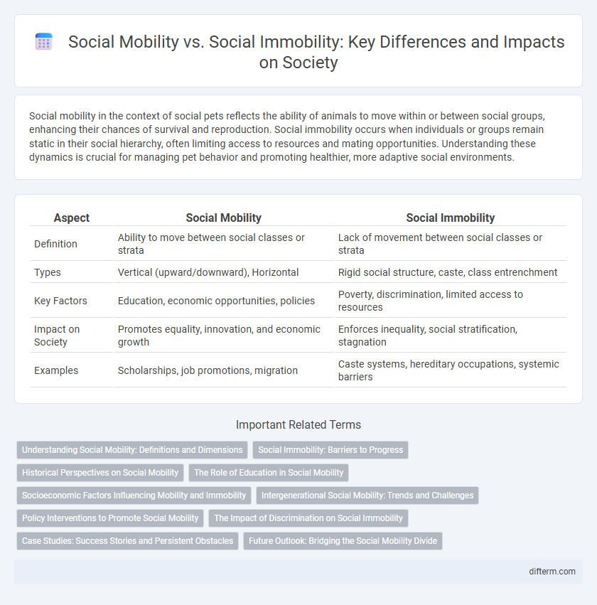 Social Mobility vs. Social Immobility: Key Differences and Impacts on Society