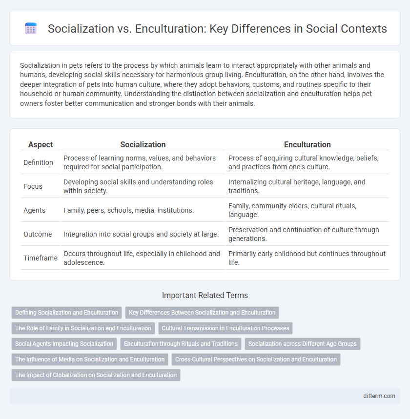 Socialization vs. Enculturation: Key Differences in Social Contexts