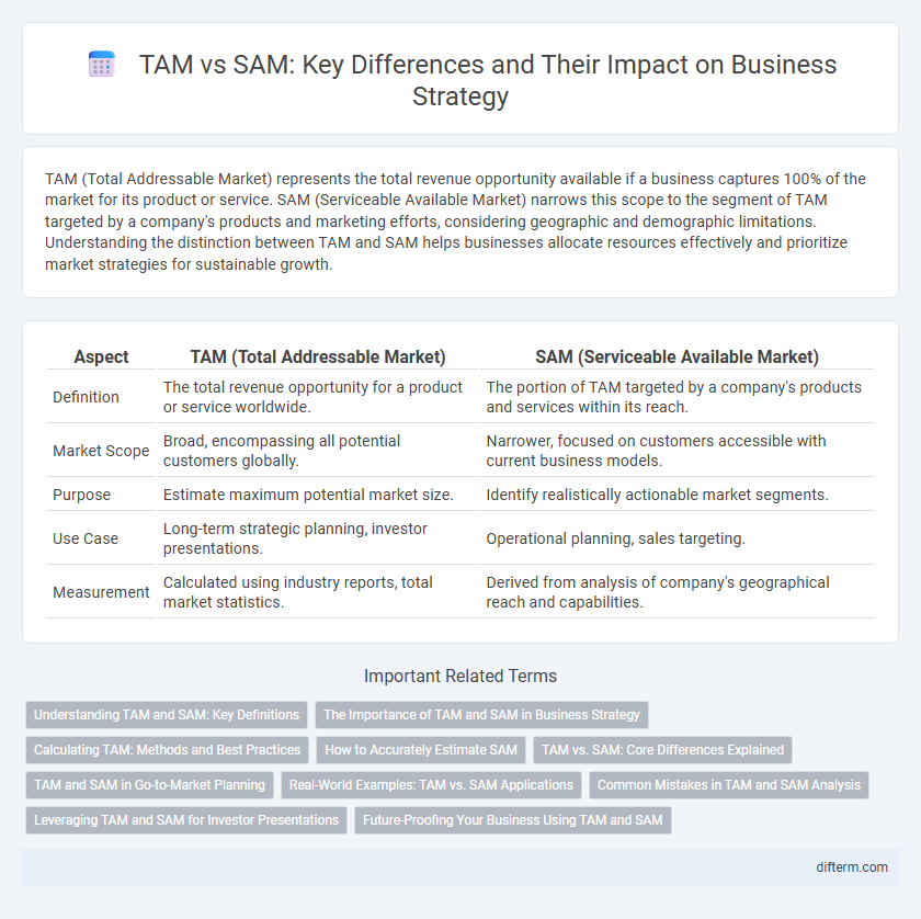 TAM vs SAM: Key Differences and Their Impact on Business Strategy