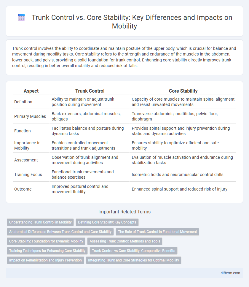 Trunk Control vs. Core Stability: Key Differences and Impacts on Mobility