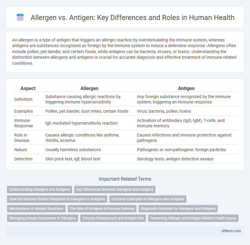 Allergen vs. Antigen: Key Differences and Roles in Human Health