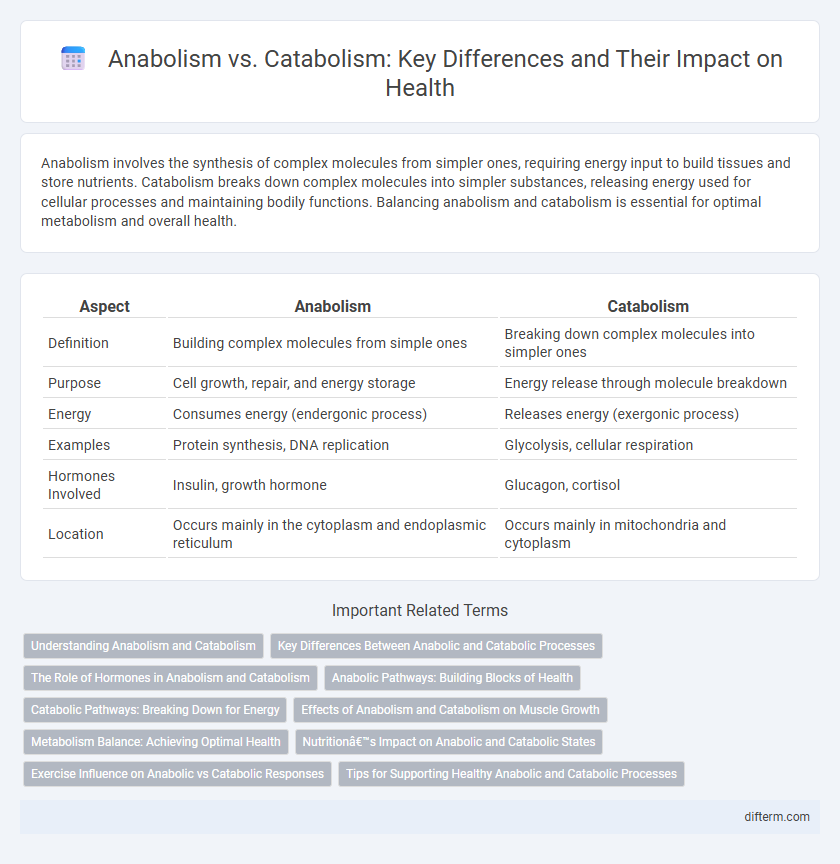 Anabolism vs. Catabolism: Key Differences and Their Impact on Health