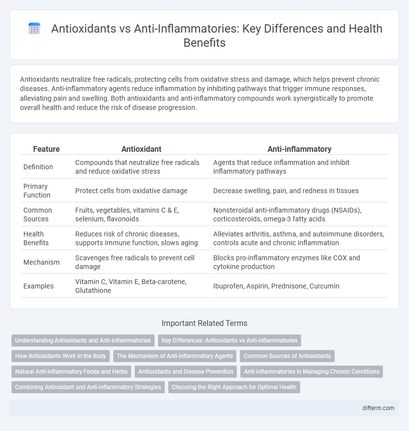 Antioxidants vs Anti-Inflammatories: Key Differences and Health Benefits