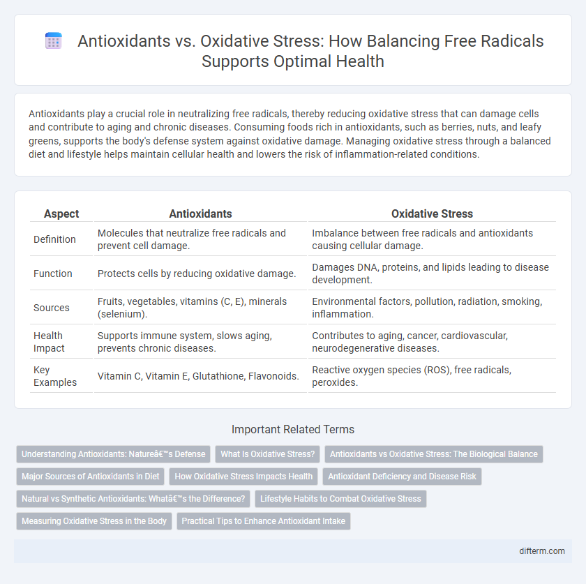 Antioxidants vs. Oxidative Stress: How Balancing Free Radicals Supports Optimal Health
