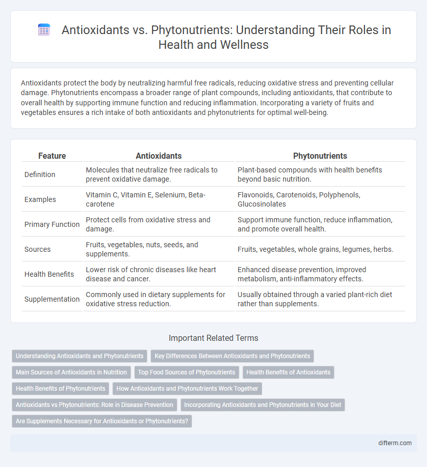 Antioxidants vs. Phytonutrients: Understanding Their Roles in Health and Wellness