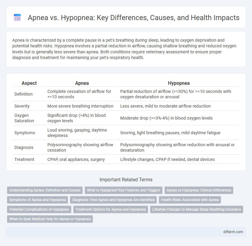 Apnea vs. Hypopnea: Key Differences, Causes, and Health Impacts