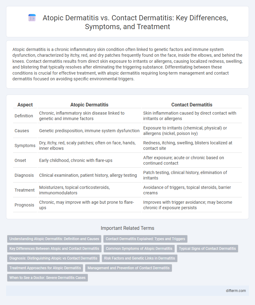 Atopic Dermatitis vs. Contact Dermatitis: Key Differences, Symptoms, and Treatment