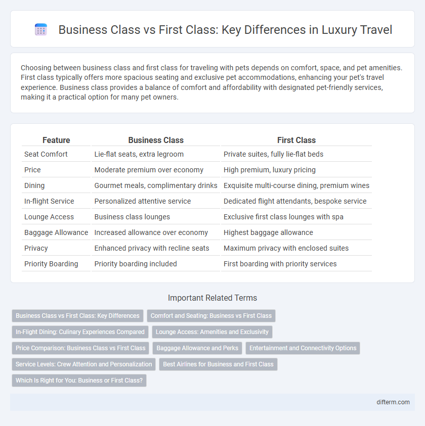 Business Class vs First Class: Key Differences in Luxury Travel