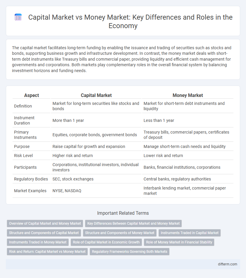 Capital Market vs Money Market: Key Differences and Roles in the Economy