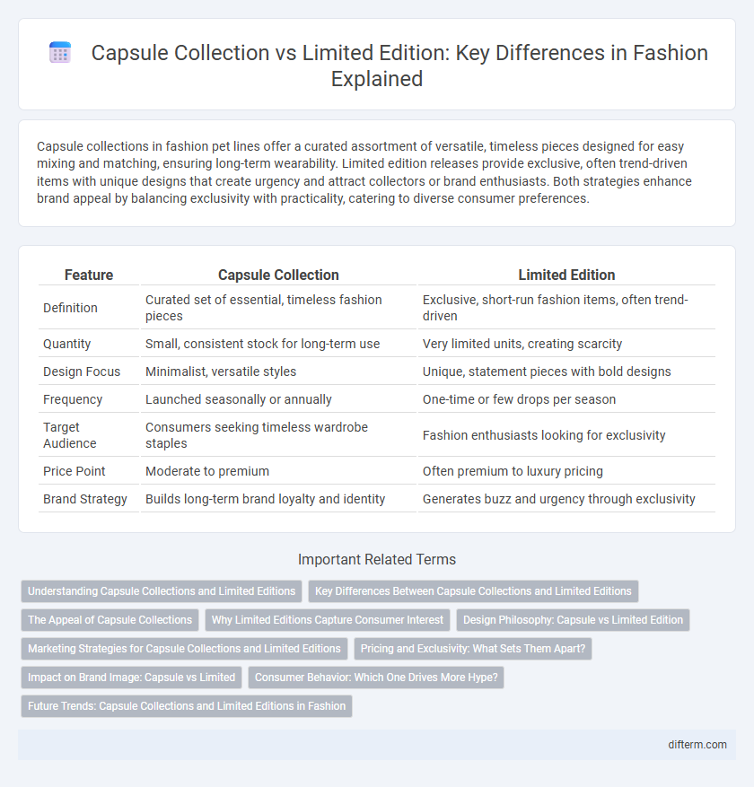 Capsule Collection vs Limited Edition: Key Differences in Fashion Explained