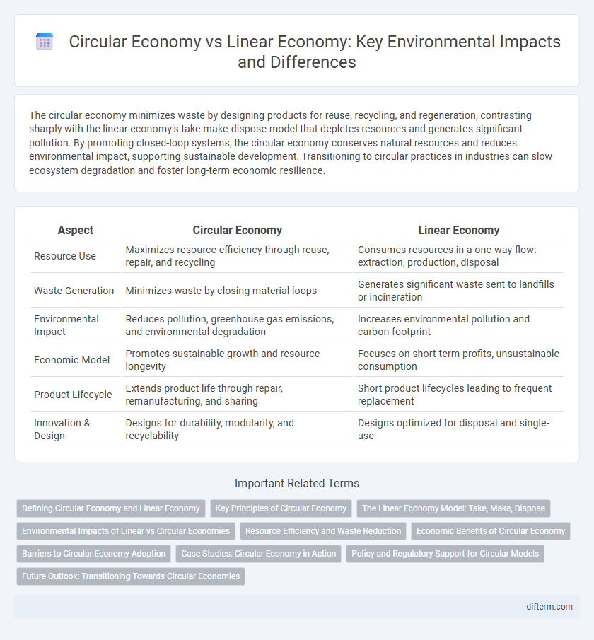 Circular Economy vs Linear Economy: Key Environmental Impacts and Differences