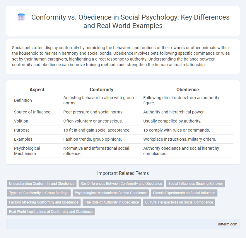 Conformity vs. Obedience in Social Psychology: Key Differences and Real-World Examples