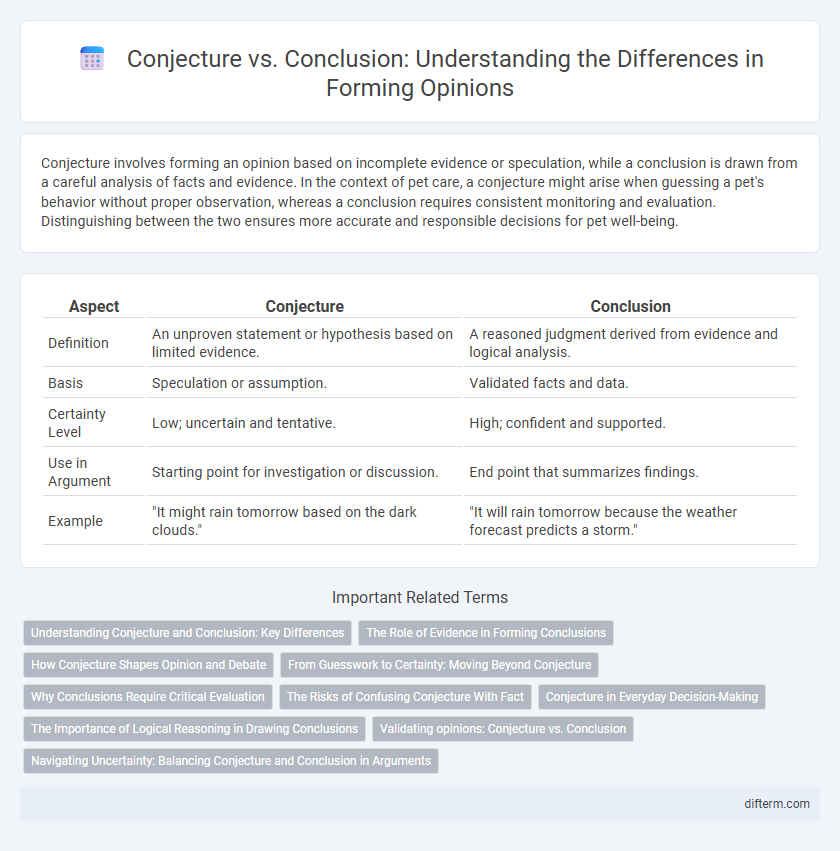 Conjecture vs. Conclusion: Understanding the Differences in Forming Opinions
