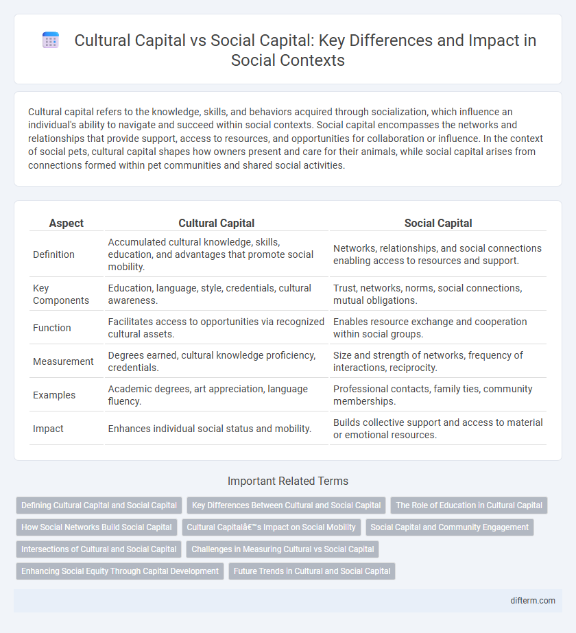 Cultural Capital vs Social Capital: Key Differences and Impact in Social Contexts