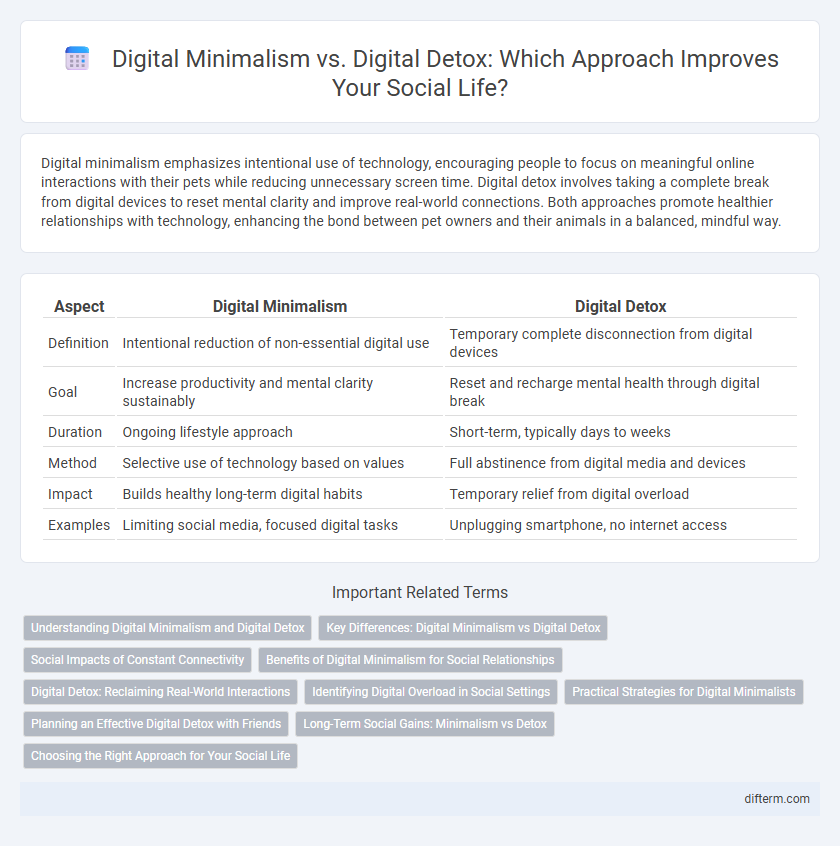 Digital Minimalism vs. Digital Detox: Which Approach Improves Your Social Life?