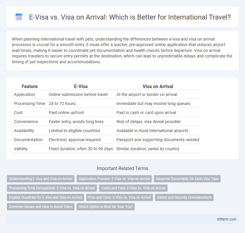E-Visa vs. Visa on Arrival: Which is Better for International Travel?