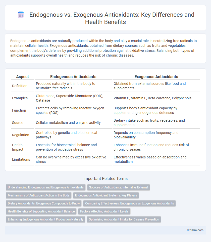 Endogenous vs. Exogenous Antioxidants: Key Differences and Health Benefits
