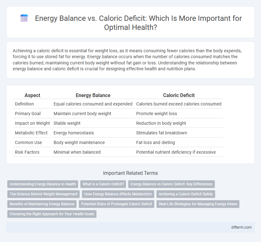 Energy Balance vs. Caloric Deficit: Which Is More Important for Optimal Health?