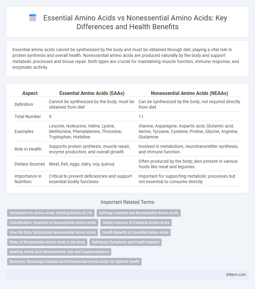 Essential Amino Acids vs Nonessential Amino Acids: Key Differences and Health Benefits