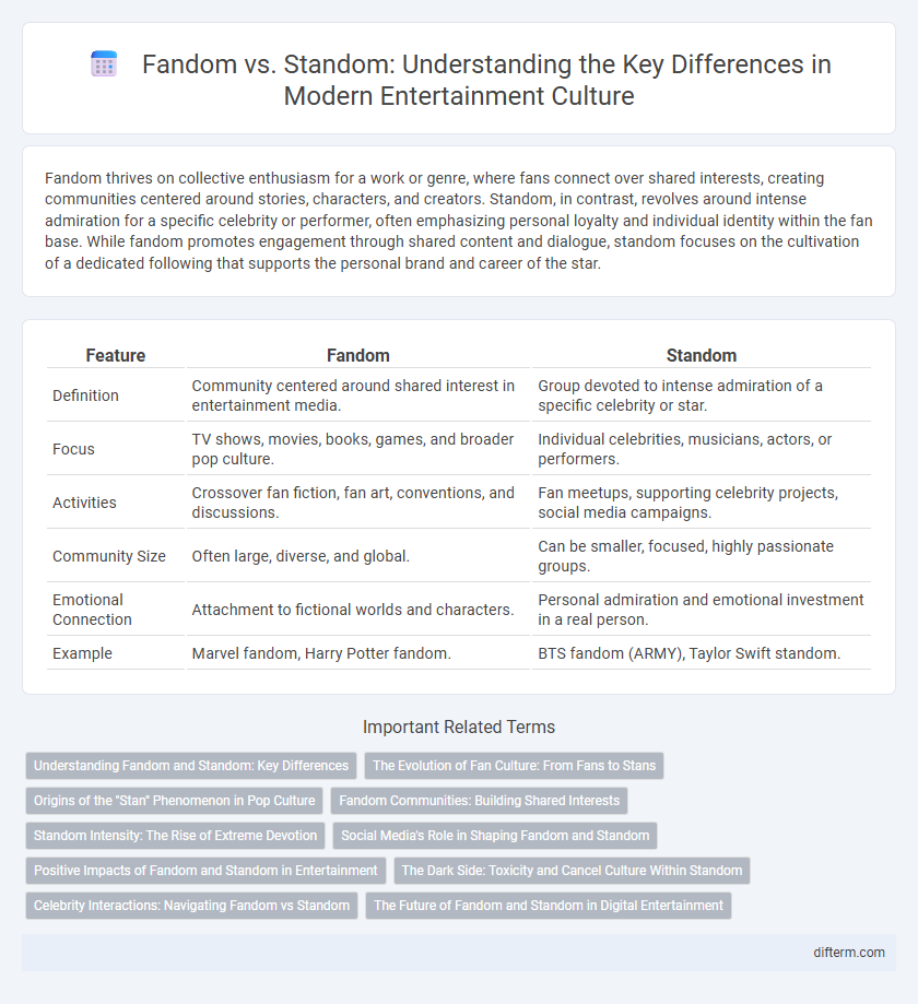 Fandom vs. Standom: Understanding the Key Differences in Modern Entertainment Culture