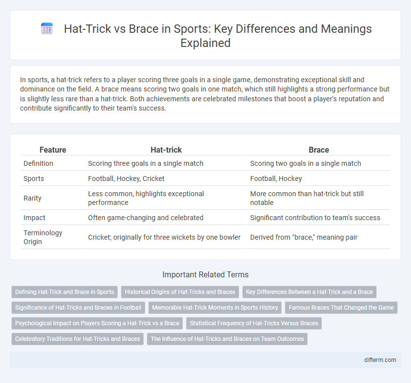Hat-Trick vs Brace in Sports: Key Differences and Meanings Explained