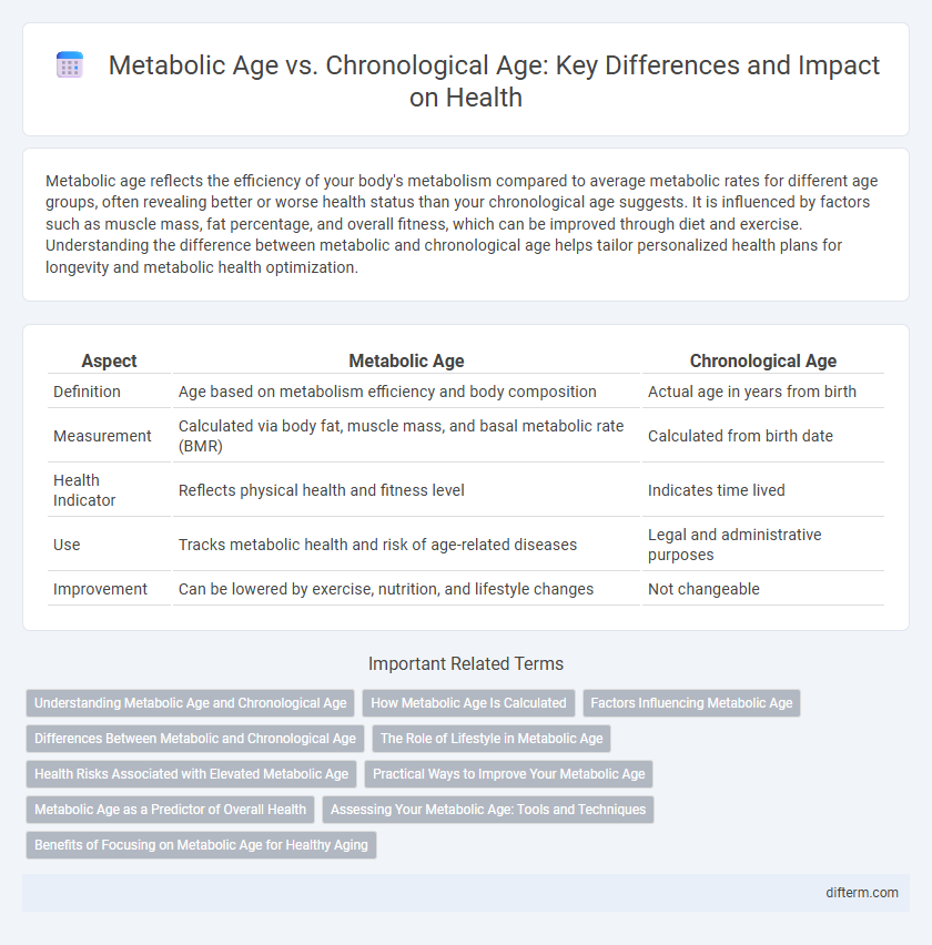 Metabolic Age vs. Chronological Age: Key Differences and Impact on Health