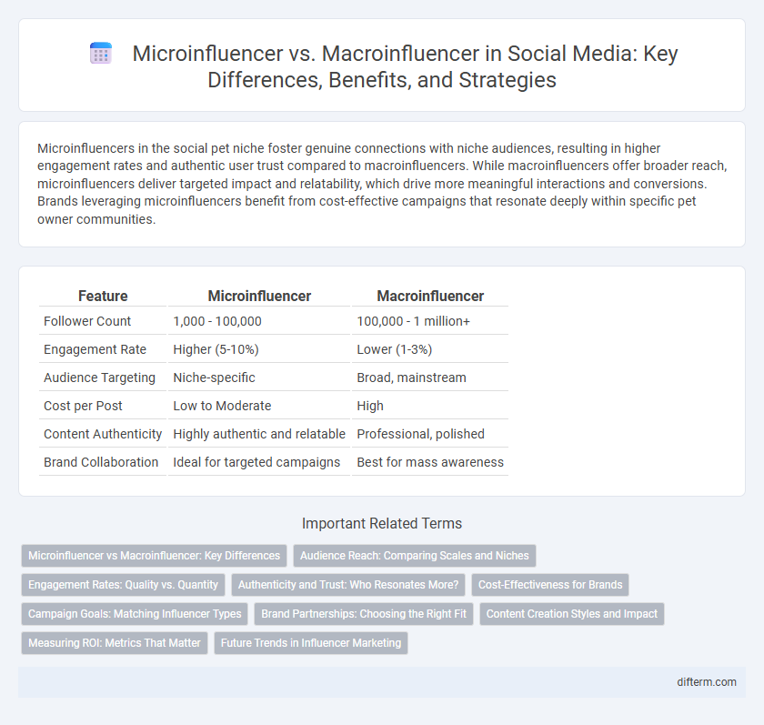 Microinfluencer vs. Macroinfluencer in Social Media: Key Differences, Benefits, and Strategies