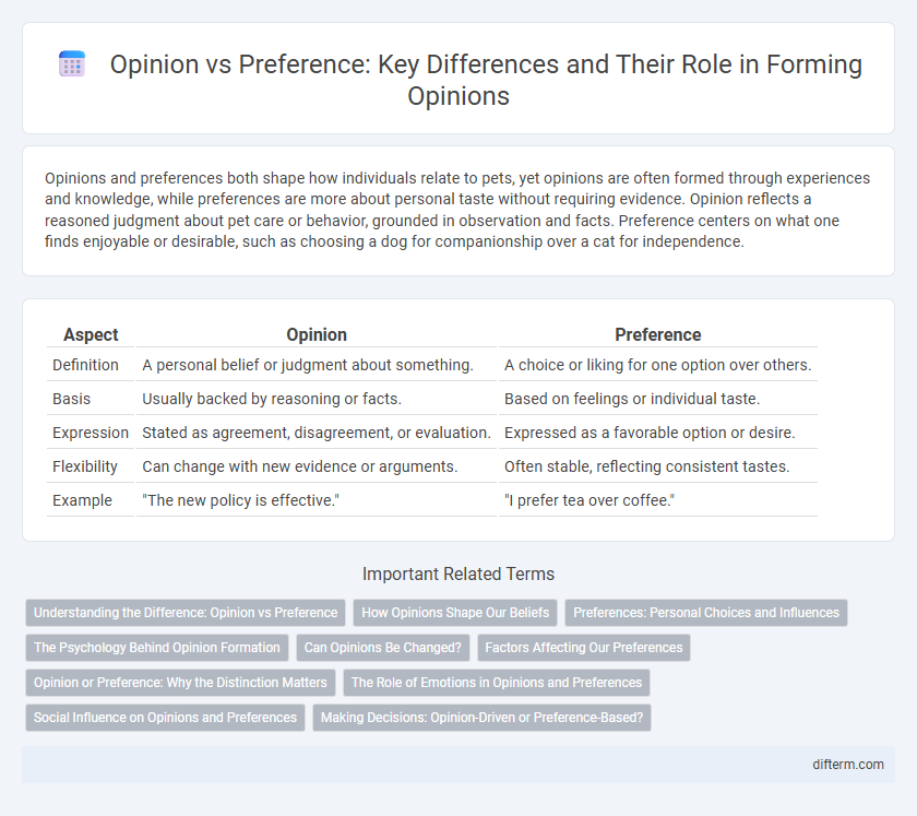 Opinion vs Preference: Key Differences and Their Role in Forming Opinions