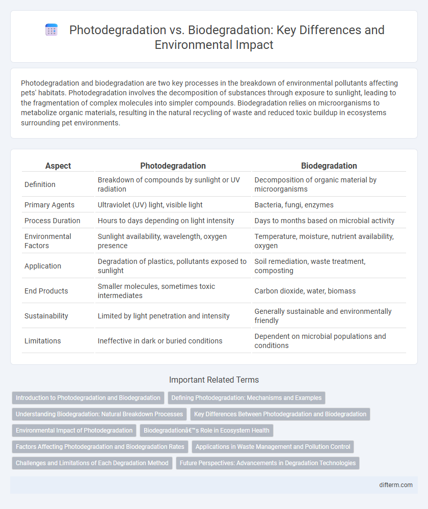 Photodegradation vs. Biodegradation: Key Differences and Environmental Impact