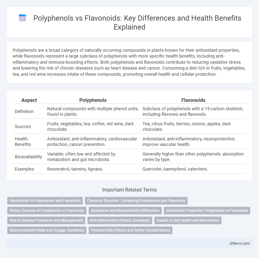 Polyphenols vs Flavonoids: Key Differences and Health Benefits Explained