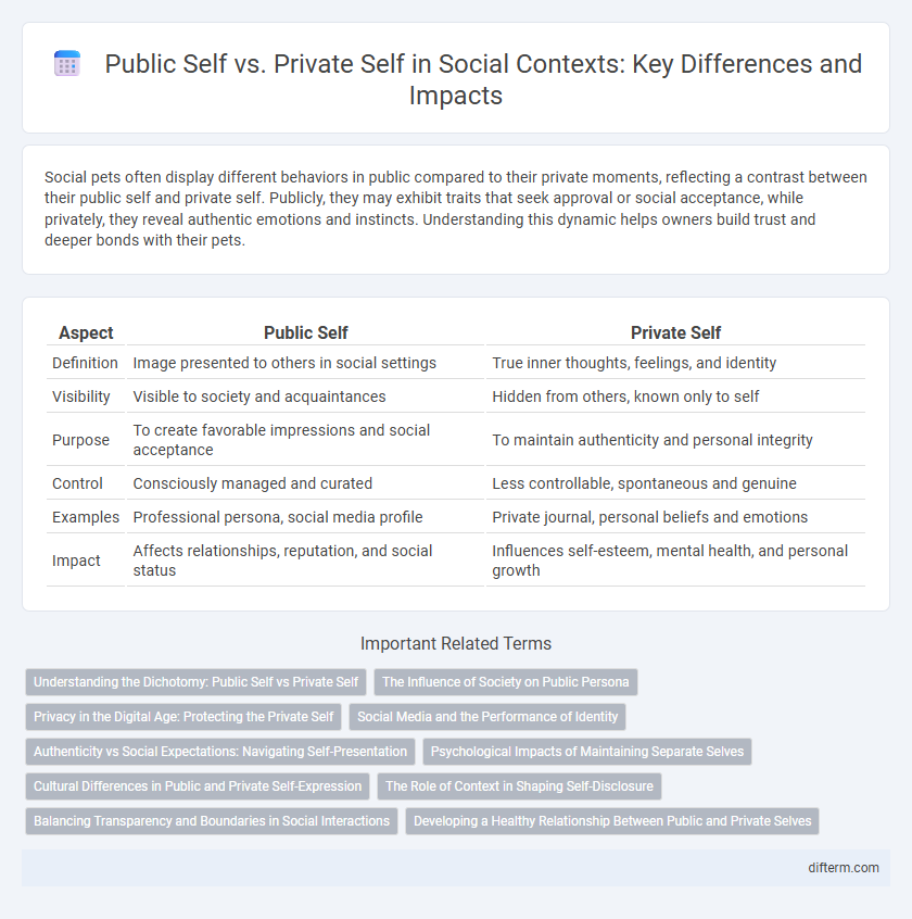 Public Self vs. Private Self in Social Contexts: Key Differences and Impacts