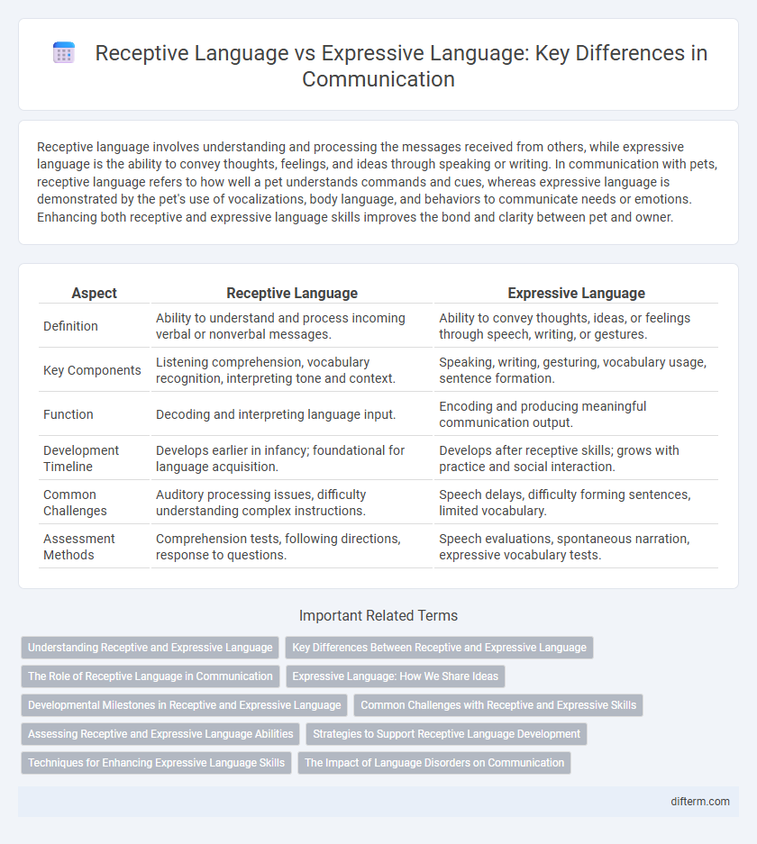 Receptive Language vs Expressive Language: Key Differences in Communication