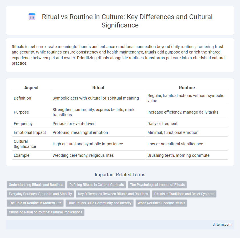Ritual vs Routine in Culture: Key Differences and Cultural Significance