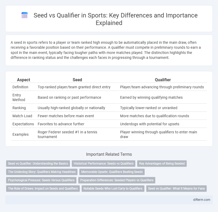 Seed vs Qualifier in Sports: Key Differences and Importance Explained