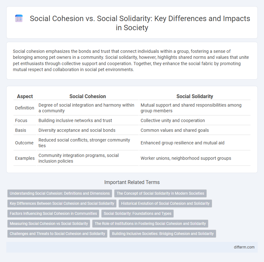 Social Cohesion vs. Social Solidarity: Key Differences and Impacts in Society