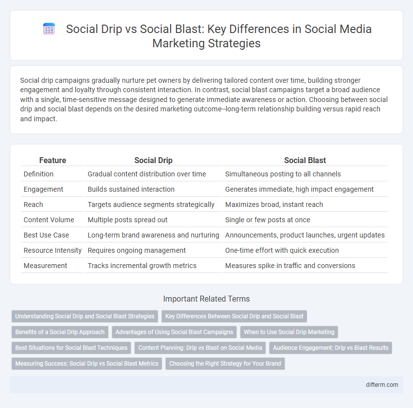 Social Drip vs Social Blast: Key Differences in Social Media Marketing Strategies