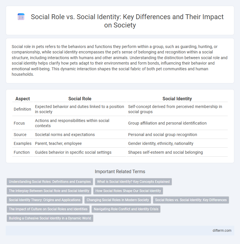 Social Role vs. Social Identity: Key Differences and Their Impact on Society