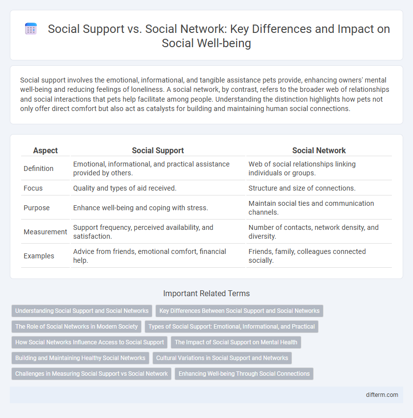 Social Support vs. Social Network: Key Differences and Impact on Social Well-being
