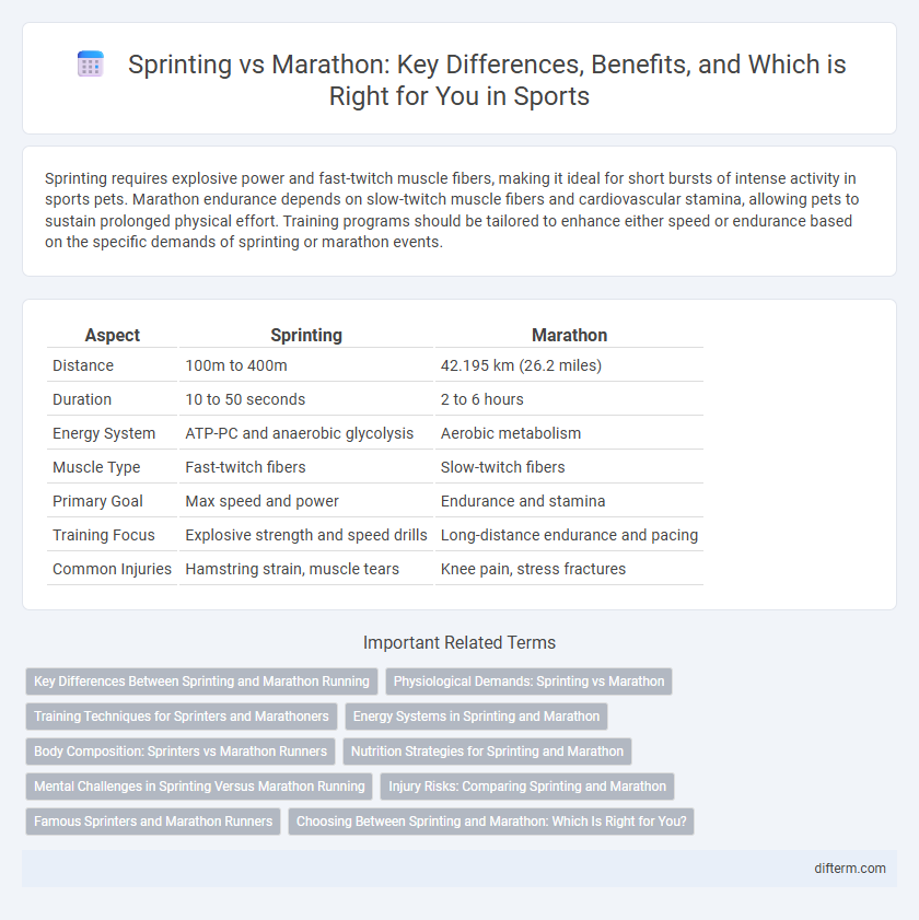 Sprinting vs Marathon: Key Differences, Benefits, and Which is Right for You in Sports