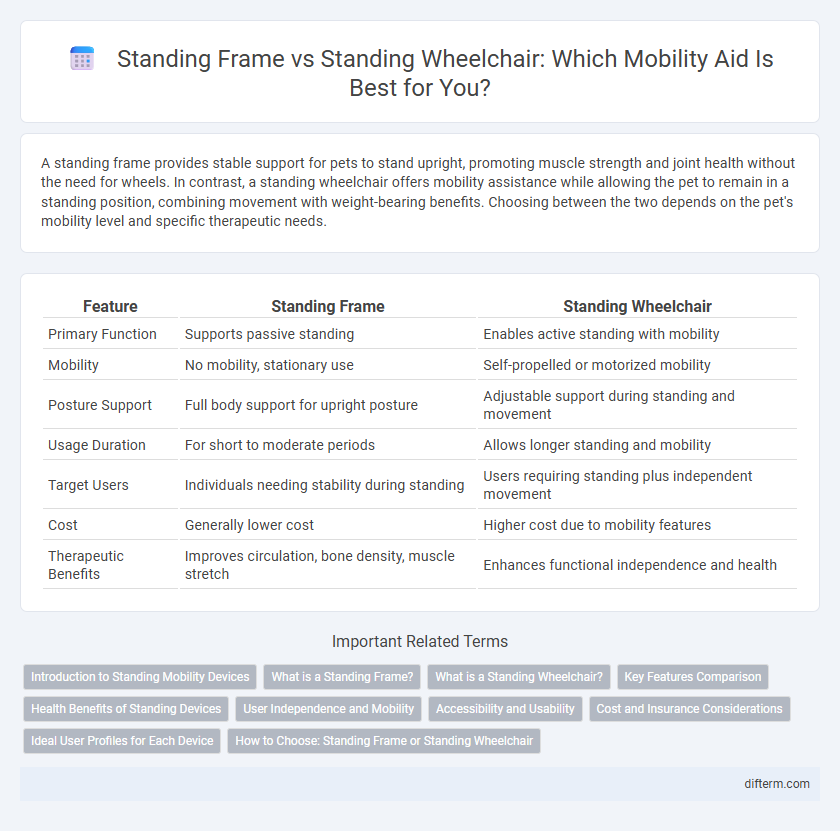 Standing Frame vs Standing Wheelchair: Which Mobility Aid Is Best for You?