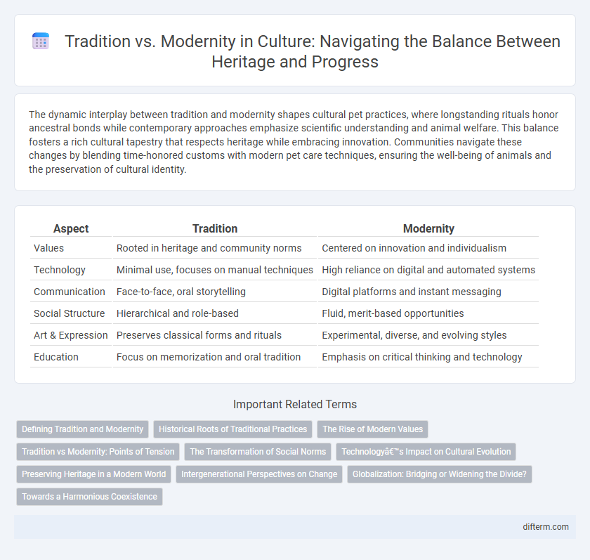 Tradition vs. Modernity in Culture: Navigating the Balance Between Heritage and Progress