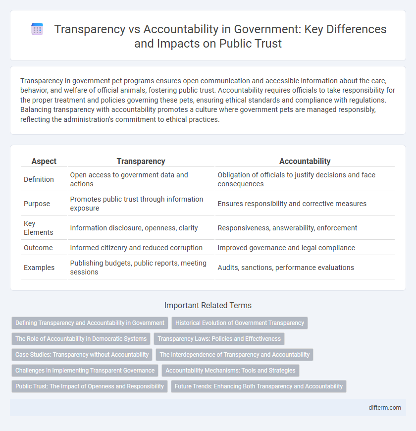 Transparency vs Accountability in Government: Key Differences and Impacts on Public Trust