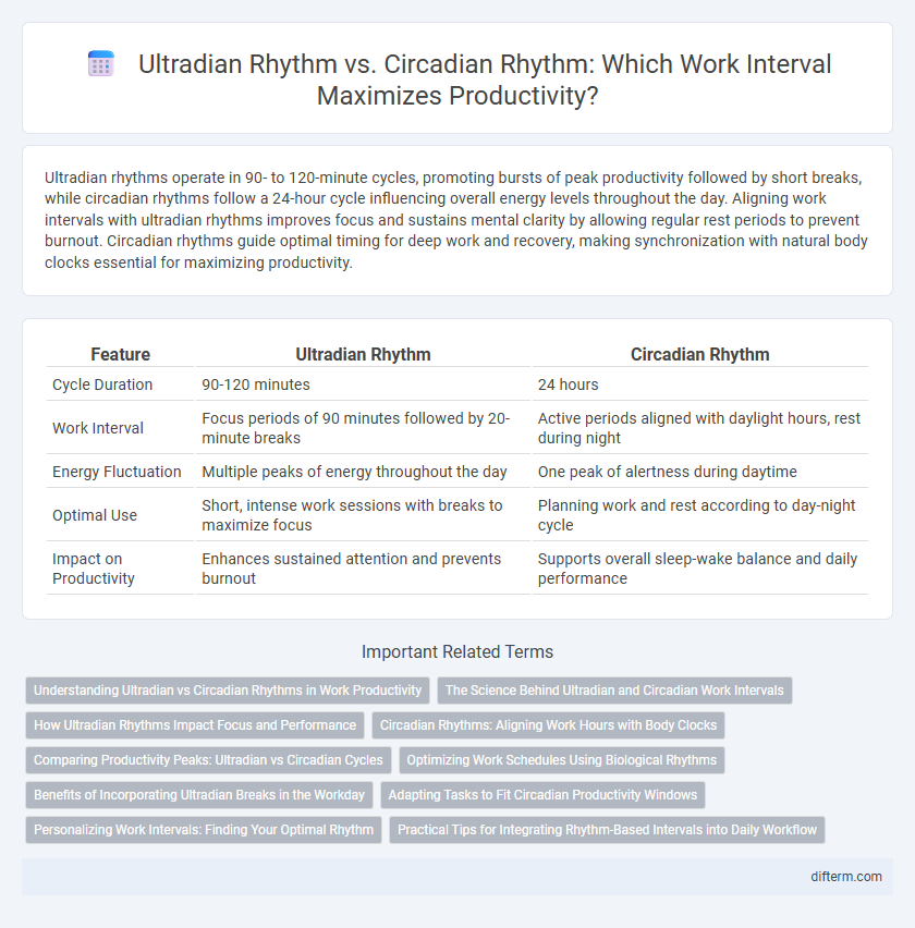 Ultradian Rhythm vs. Circadian Rhythm: Which Work Interval Maximizes Productivity?