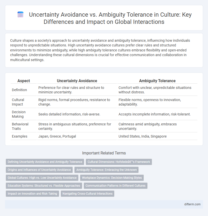 Uncertainty Avoidance vs. Ambiguity Tolerance in Culture: Key Differences and Impact on Global Interactions